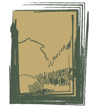 About Image
